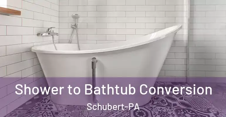 inner Bathroom imggen Shower to Bathtub Conversion Schubert-PA