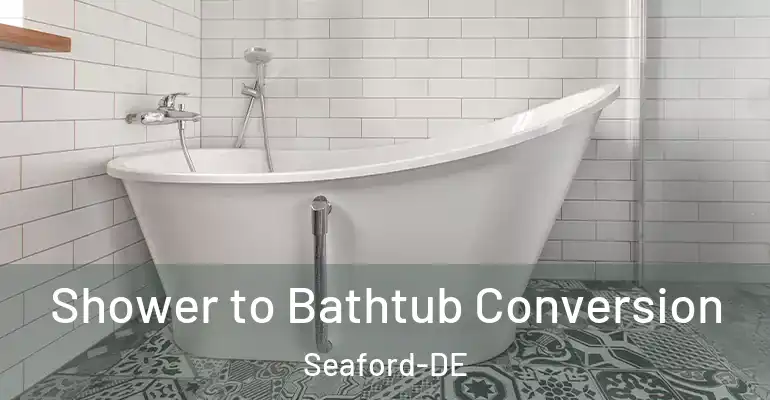 inner Bathroom imggen Shower to Bathtub Conversion Seaford-DE
