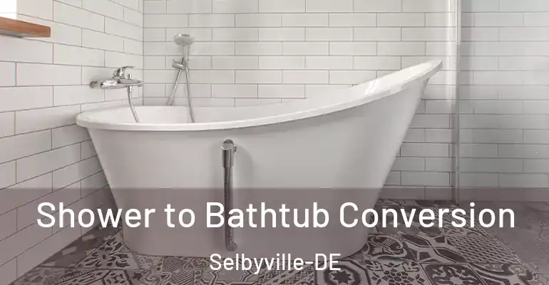 inner Bathroom imggen Shower to Bathtub Conversion Selbyville-DE