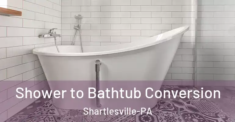 inner Bathroom imggen Shower to Bathtub Conversion Shartlesville-PA