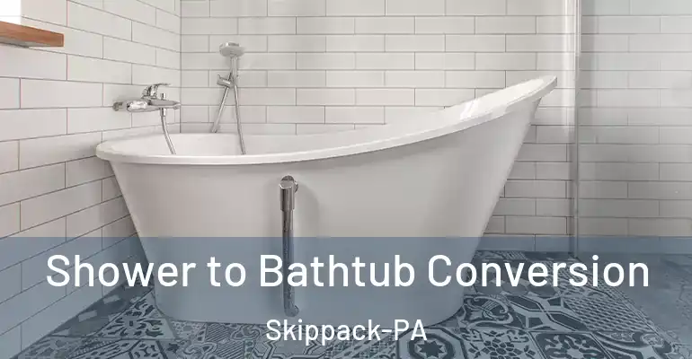 inner Bathroom imggen Shower to Bathtub Conversion Skippack-PA