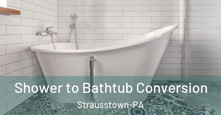 inner Bathroom imggen Shower to Bathtub Conversion Strausstown-PA