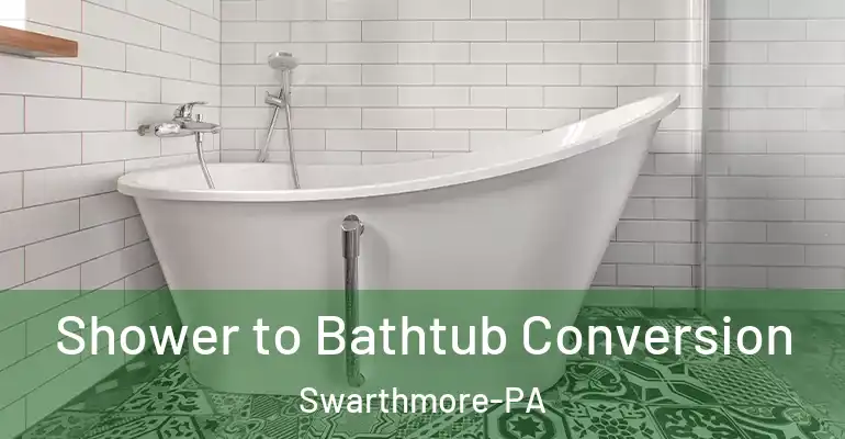inner Bathroom imggen Shower to Bathtub Conversion Swarthmore-PA