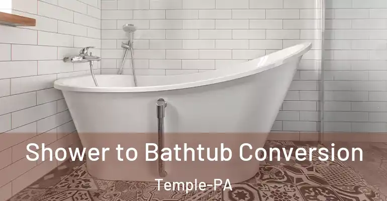 inner Bathroom imggen Shower to Bathtub Conversion Temple-PA