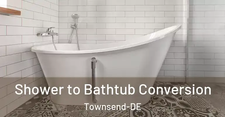 inner Bathroom imggen Shower to Bathtub Conversion Townsend-DE