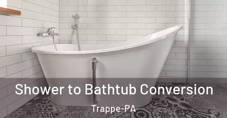 inner Bathroom imggen Shower to Bathtub Conversion Trappe-PA