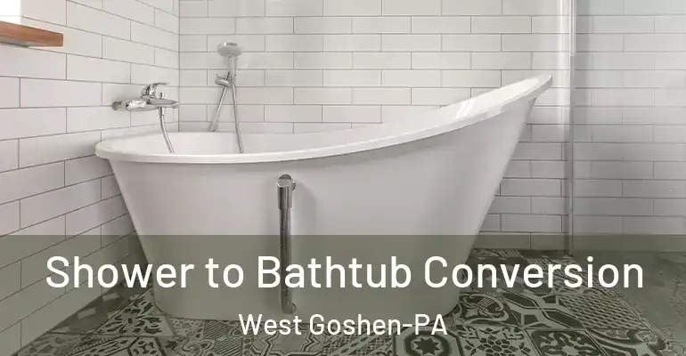 inner Bathroom imggen Shower to Bathtub Conversion West Goshen-PA