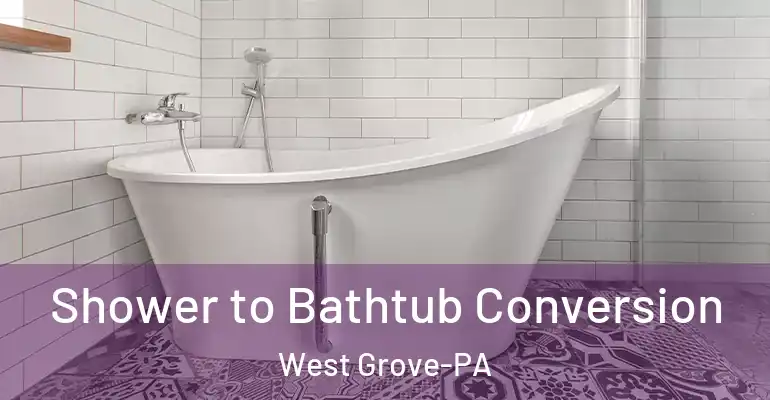 inner Bathroom imggen Shower to Bathtub Conversion West Grove-PA