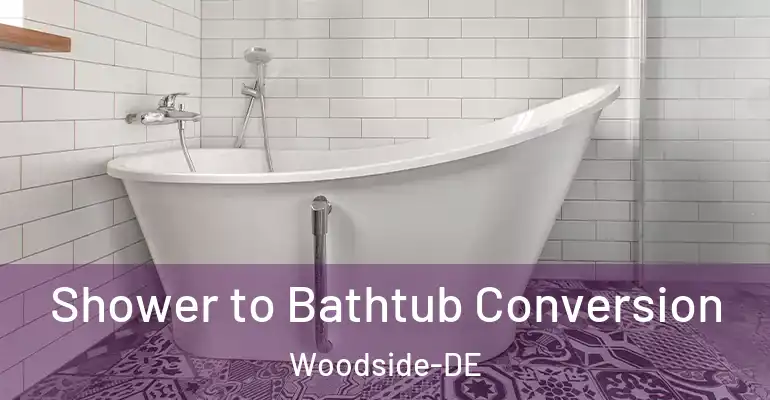 inner Bathroom imggen Shower to Bathtub Conversion Woodside-DE