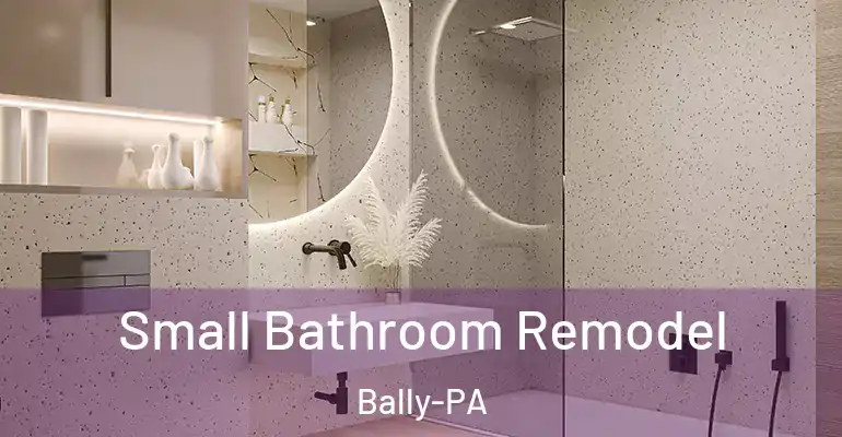 inner Bathroom imggen Small Bathroom Remodel Bally-PA