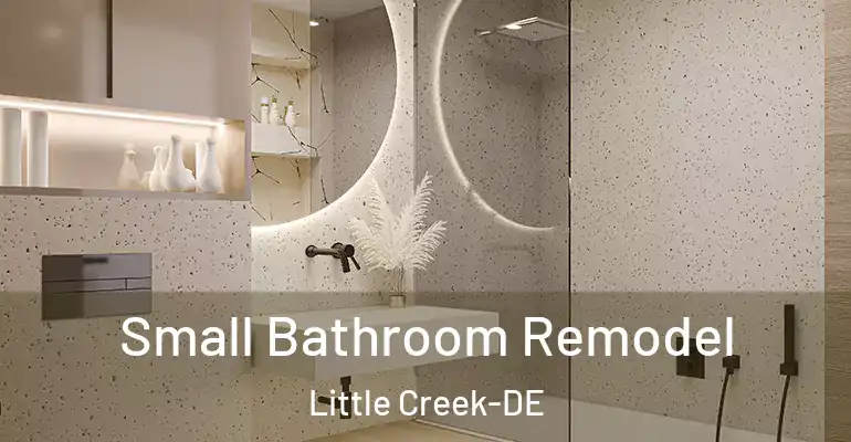inner Bathroom imggen Small Bathroom Remodel Little Creek-DE