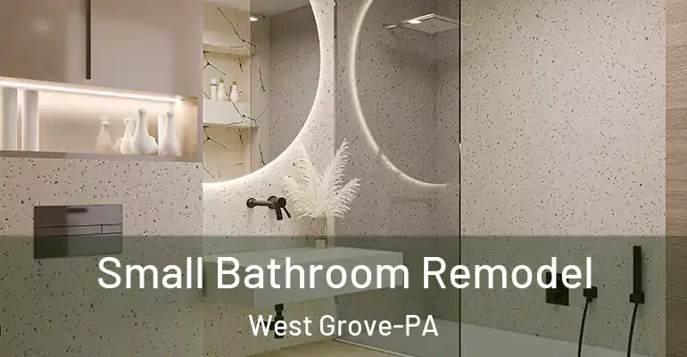 inner Bathroom imggen Small Bathroom Remodel West Grove-PA