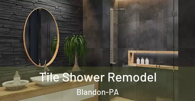 inner Bathroom imggen Tile Shower Remodel Blandon-PA