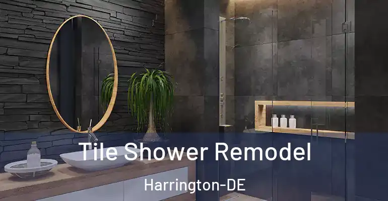 inner Bathroom imggen Tile Shower Remodel Harrington-DE