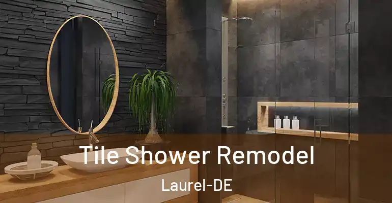 inner Bathroom imggen Tile Shower Remodel Laurel-DE