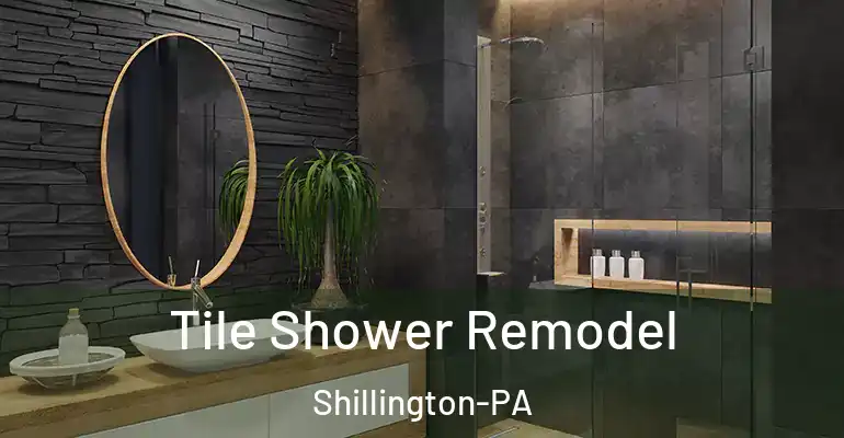 inner Bathroom imggen Tile Shower Remodel Shillington-PA