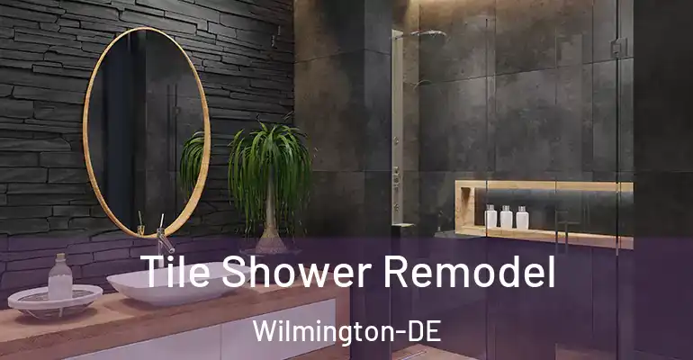 inner Bathroom imggen Tile Shower Remodel Wilmington-DE