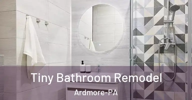 inner Bathroom imggen Tiny Bathroom Remodel Ardmore-PA