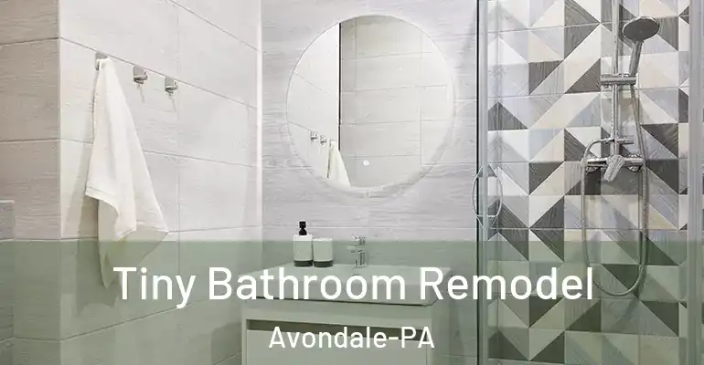 inner Bathroom imggen Tiny Bathroom Remodel Avondale-PA