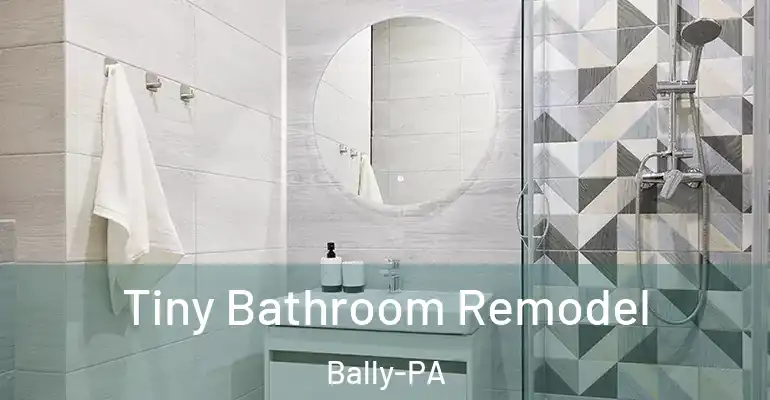 inner Bathroom imggen Tiny Bathroom Remodel Bally-PA