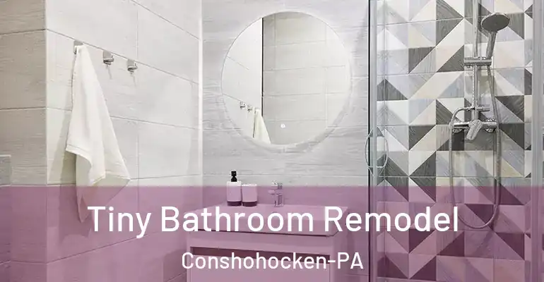 inner Bathroom imggen Tiny Bathroom Remodel Conshohocken-PA