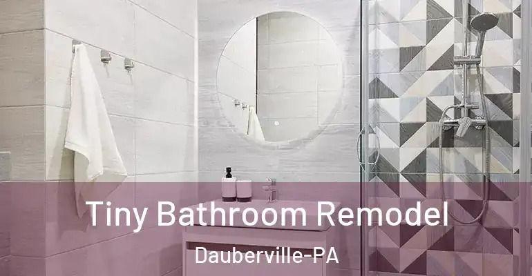 inner Bathroom imggen Tiny Bathroom Remodel Dauberville-PA