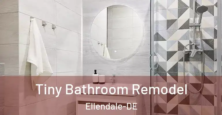 inner Bathroom imggen Tiny Bathroom Remodel Ellendale-DE