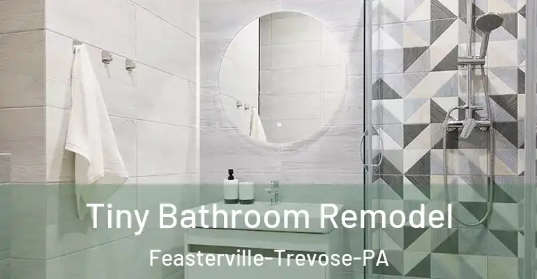 inner Bathroom imggen Tiny Bathroom Remodel Feasterville-Trevose-PA
