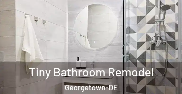 inner Bathroom imggen Tiny Bathroom Remodel Georgetown-DE