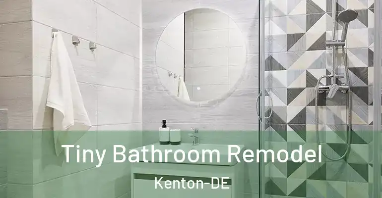 inner Bathroom imggen Tiny Bathroom Remodel Kenton-DE