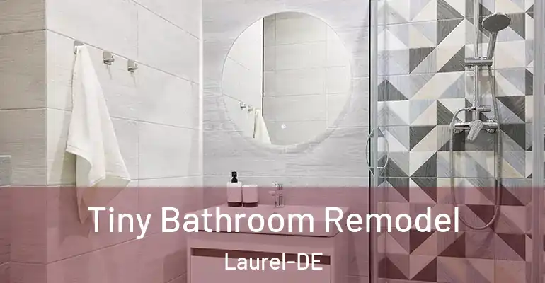 inner Bathroom imggen Tiny Bathroom Remodel Laurel-DE