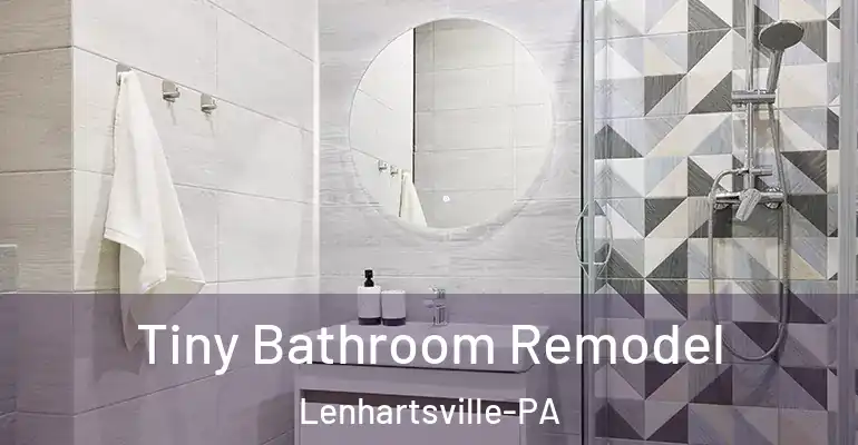 inner Bathroom imggen Tiny Bathroom Remodel Lenhartsville-PA