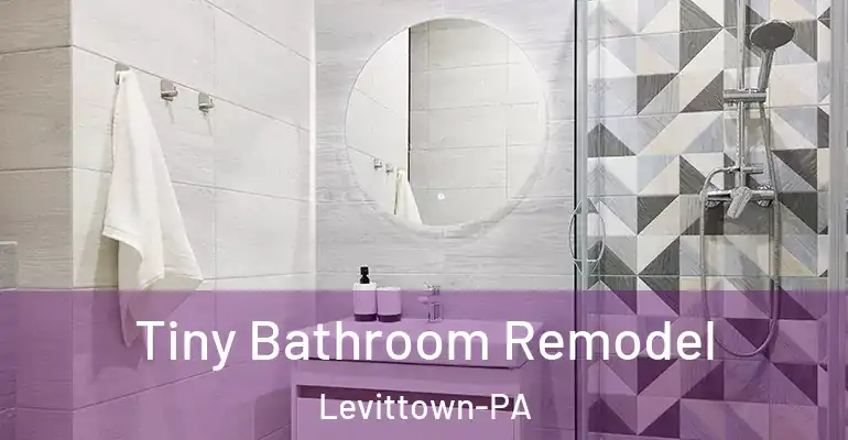 inner Bathroom imggen Tiny Bathroom Remodel Levittown-PA