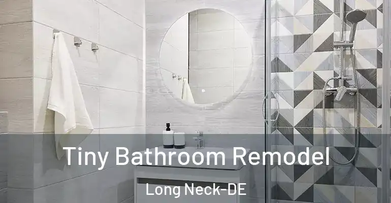inner Bathroom imggen Tiny Bathroom Remodel Long Neck-DE