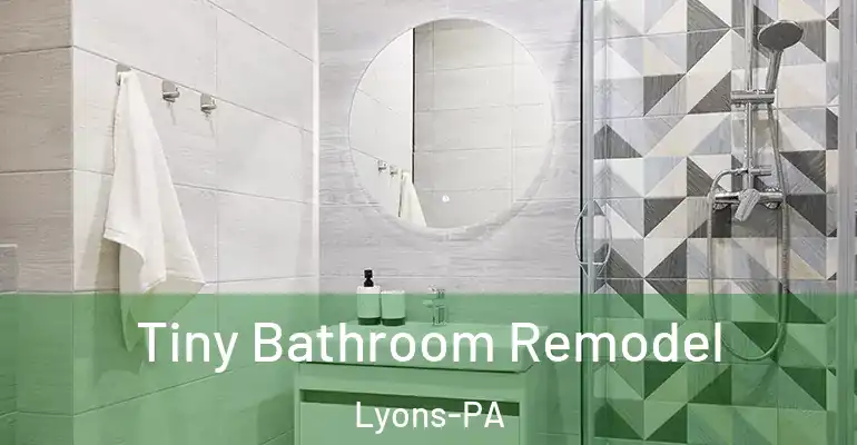 inner Bathroom imggen Tiny Bathroom Remodel Lyons-PA