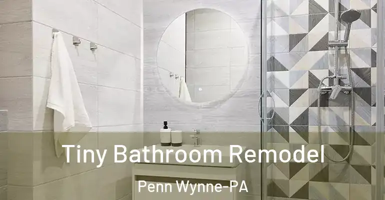 inner Bathroom imggen Tiny Bathroom Remodel Penn Wynne-PA