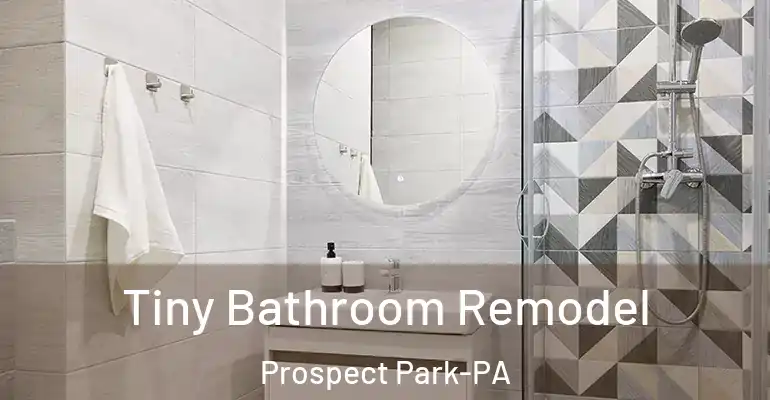 inner Bathroom imggen Tiny Bathroom Remodel Prospect Park-PA