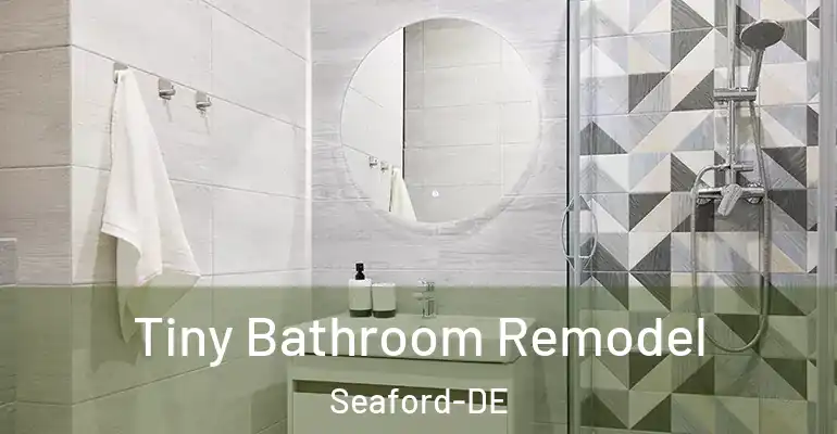 inner Bathroom imggen Tiny Bathroom Remodel Seaford-DE