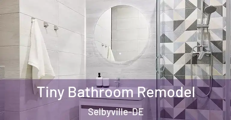 inner Bathroom imggen Tiny Bathroom Remodel Selbyville-DE