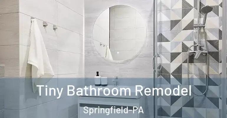 inner Bathroom imggen Tiny Bathroom Remodel Springfield-PA