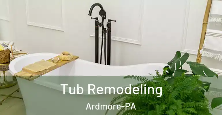inner Bathroom imggen Tub Remodeling Ardmore-PA