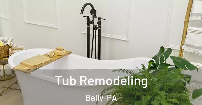 inner Bathroom imggen Tub Remodeling Bally-PA