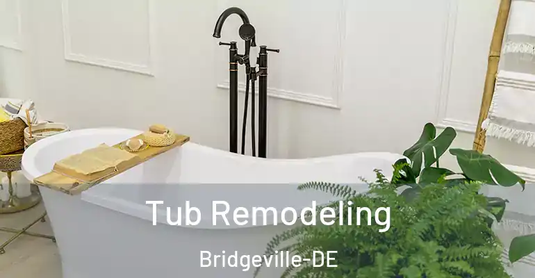 inner Bathroom imggen Tub Remodeling Bridgeville-DE