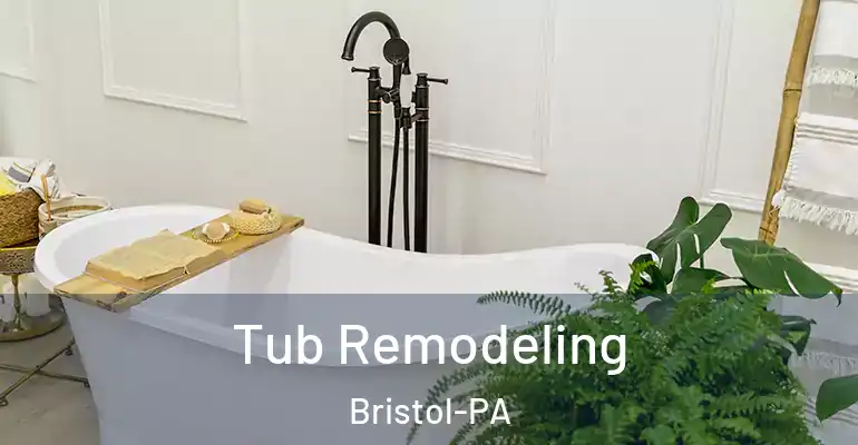 inner Bathroom imggen Tub Remodeling Bristol-PA