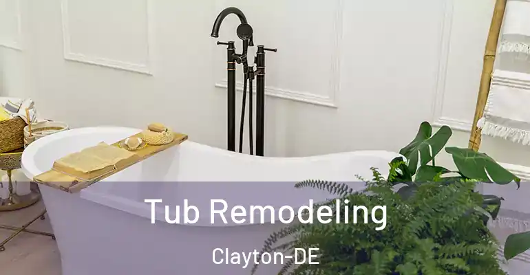 inner Bathroom imggen Tub Remodeling Clayton-DE