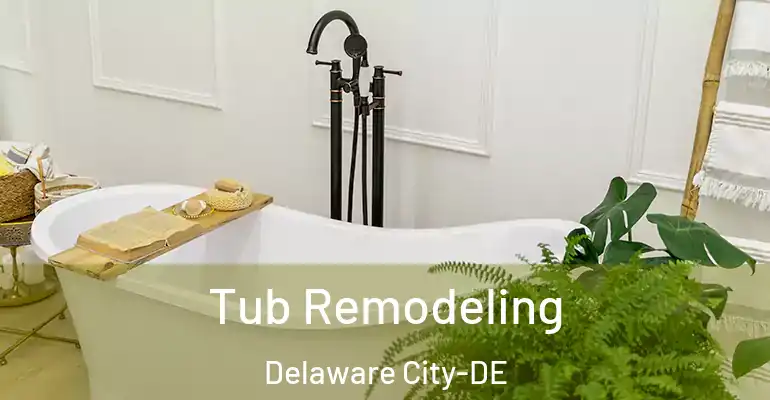 inner Bathroom imggen Tub Remodeling Delaware City-DE