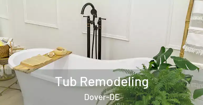 inner Bathroom imggen Tub Remodeling Dover-DE
