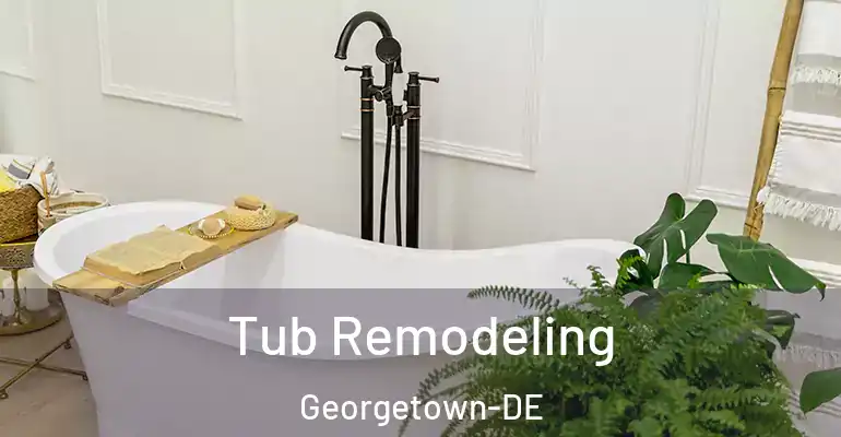 inner Bathroom imggen Tub Remodeling Georgetown-DE