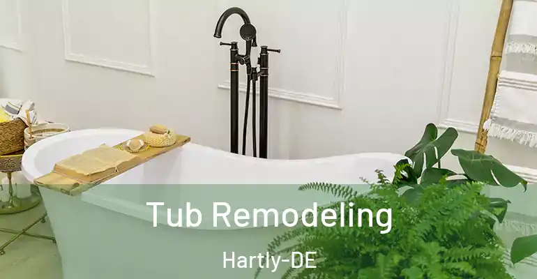 inner Bathroom imggen Tub Remodeling Hartly-DE