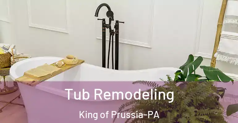 inner Bathroom imggen Tub Remodeling King of Prussia-PA